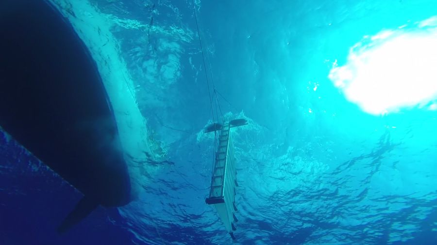 #01 - The Multi-Level Trawl, a custom-built research device to sample the water column, Great Pacific Garbage Patch, ocean plastic pollution, save oceans, help clean oceans,
