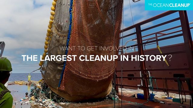 Donate to clean oceans, donation to save oceans, donate to ocean cleanup, oceana, save oceans, environmental charity